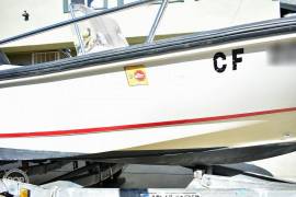 1996, Boston Whaler, Dauntless 13