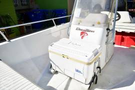 1996, Boston Whaler, Dauntless 13