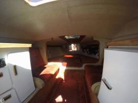 1988, Hallett, 270-T