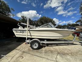 2006, Sea Boss, 180DC