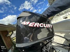 2006, Sea Boss, 180DC