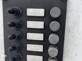 1984, 36 Sport