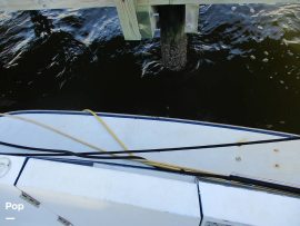 1995, Tollycraft, 45 CPMY
