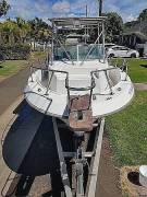 1988, Chris-Craft, Sea Hawk 215