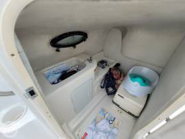 2001, Chris-Craft, Sport Deck 262