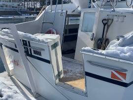 1973, Tollycraft, 40 Tri-Cabin