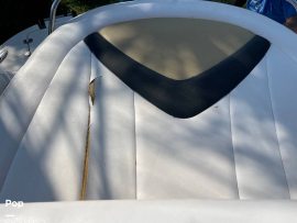 2010, Chaparral, 256 SSX