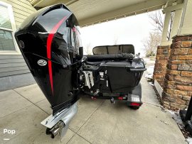 2020, Nitro, Zv19 Sport Pro
